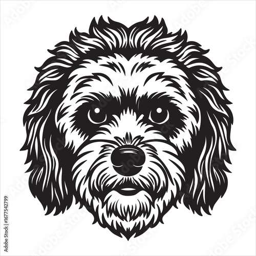 A Cheerful Portrait of a Bichon Frise, a Playful and Adorable Breed with a Fluffy, White, Powder-Puff Coat and Expressive Dark Eyes