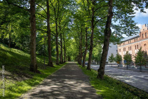 Natural surroundings of Lahti Finland with lush greenery forests and open landscapes in summer season