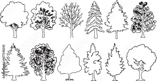 Diverse Black and White Line Art Drawings of Various Tree Species trees nature
