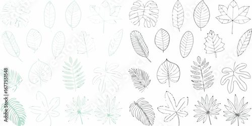 Collection of hand drawn tropical and deciduous leaves in outline and watercolor style