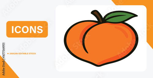vector illustration of an orange fruit