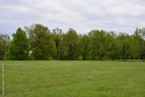 Fototapeta Naklejka Na Ścianę i Meble -  Lush green field with a line of trees under a cloudy sky