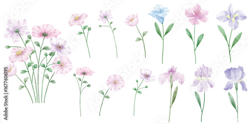 Delicate watercolor flower collection soft pastels hand-drawn botanical art for design projects white background
