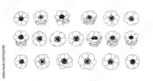 Anemone line art icon bundle illustration