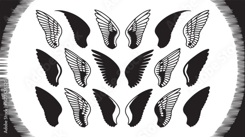 Assortment of Black and White Wing Silhouettes in Various Styles wings angel wings