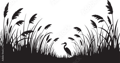 Silhouette of a Heron Standing in Reeds with Tall Grass and Cattails bird