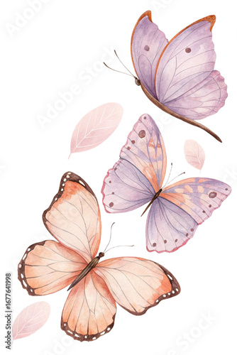 butterfly flying isolated clipart
