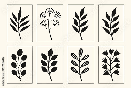 Botanical Illustration Set with Simple Black and White Leaf and Flower Motifs for Modern Minimalist Decor and Design Projects