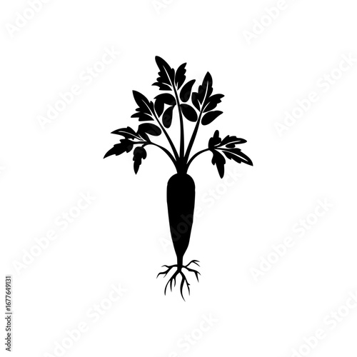 A black and white illustration of a whole carrot vegetable plant