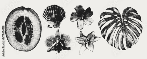Trendy elements with a retro photocopy effect. y2k elements for design. Shell, flowers, monstera leaf, melon, orchid, lily. 