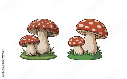 fly agaric mushroom