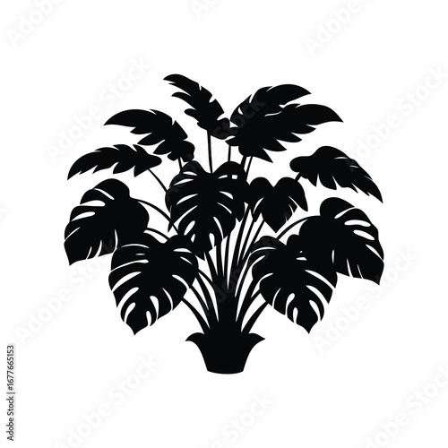 Stylish silhouette illustration of Monstera deliciosa plant in a decorative pot, tropical bush with large leaves silhouette vector illustration