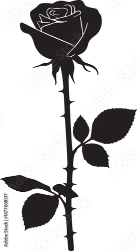 Black rose silhouette with thorns and leaves stem