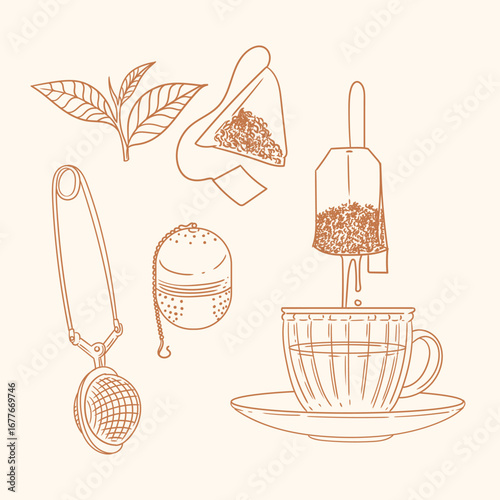 Set of original illustrations of a teacup, infuser. Vintage ink line drawing for cards, menus, cafes, baristas, tea houses, or graphic design. In vector.