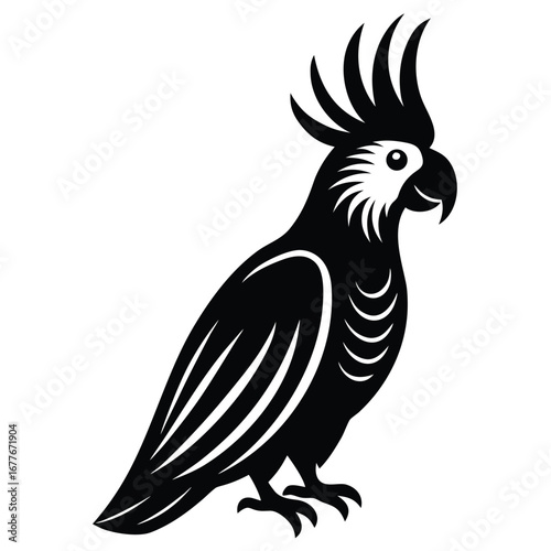 Black Silhouette of a Cockatoo with Crest on White Background parrot bird