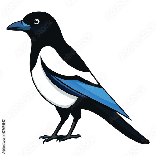 Stylized illustration of a black and white magpie bird with blue wing accents on a white background animal