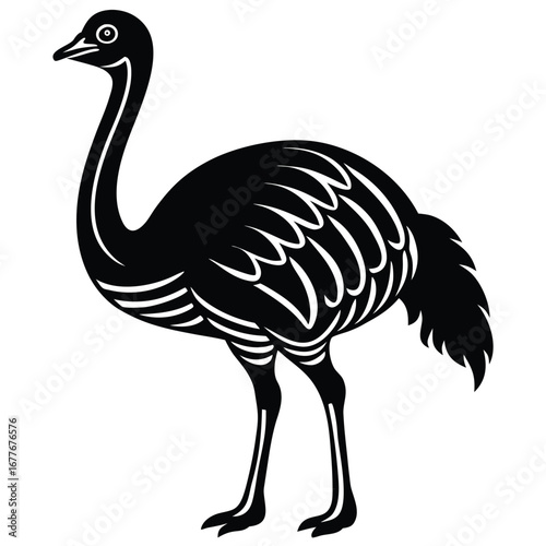 Stylized Silhouette of a Black Ostrich Bird on White Background vector illustration