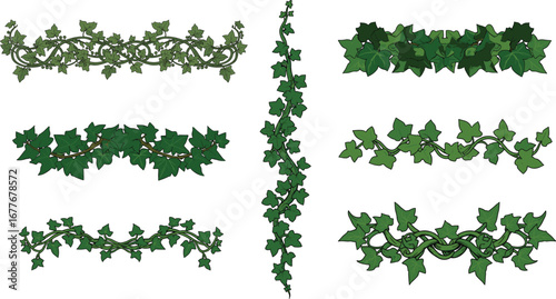 Set of Ivy Vine Vector Borders – Green Climbing Plant Decorative Elements for Nature Design, Floral Frames, Garden Dividers, and Botanical Art Projects