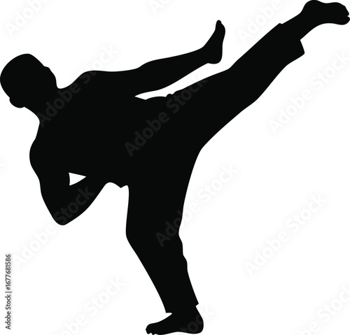 Dynamic martial artist silhouette executing powerful high kick action pose capturing combat movement and athleticism silhouette