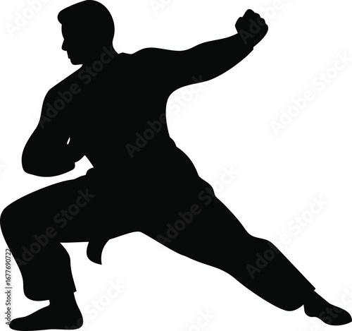 Dynamic silhouette of a martial artist in a powerful fighting stance demonstrating strength and discipline silhouette