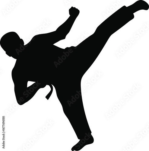 Martial artist silhouette executes powerful side kick demonstrating dynamic combat movement and discipline silhouette