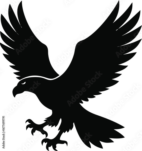 Majestic bald eagle soaring with wings spread wide powerful predatory bird in flight silhouette silhouette
