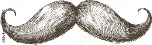 Beautiful detailed mustache of a man isolated on white background. Vintage style.