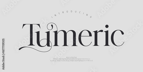 Luxury Elegant Modern beauty font alphabet logo. Typography beautiful minimal elegant sans fonts fashion wedding vintage retro logos. vector illustration
