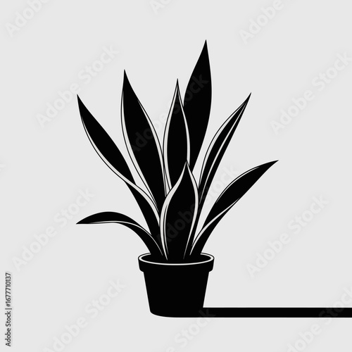 Stylized silhouette of a snake plant in a pot on a shelf