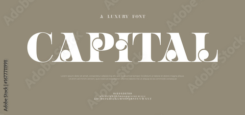 Stylish serif font luxury logo alphabet. Typography beautiful fashion elegant classic letters serif italic fonts decorative wedding vintage blossom logos. vector illustration
