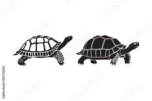 Two stylized tortoises facing opposite directions