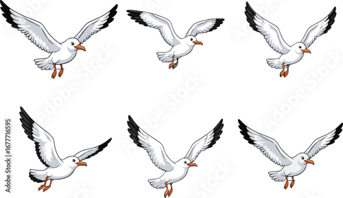 Flying seagulls vector illustration set, cartoon sea birds with spread wings in different flight poses, wildlife clipart
