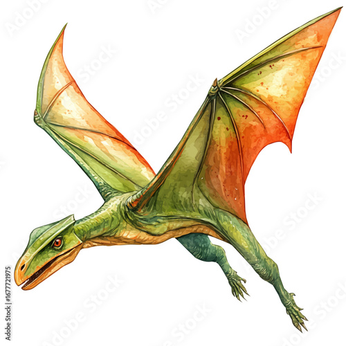 watercolor vector of Pteranodon, isolated on a white background.