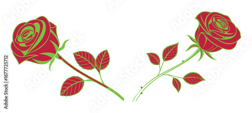 Two elegant roses with red petals and green outlines on a clean white background