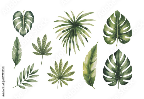 Tropical monstera and palm leaves set in soft watercolor botanical style. Hand painted exotic green foliage collection isolated on white background.