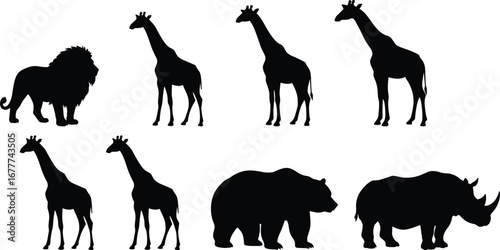 Lion silhouette, giraffe design, bear shape, rhinoceros art, wildlife animals, nature species, safari mammals, black graphic, animal icons, flat vector illustration