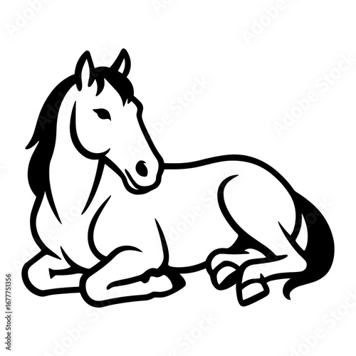 Horse Laying Down