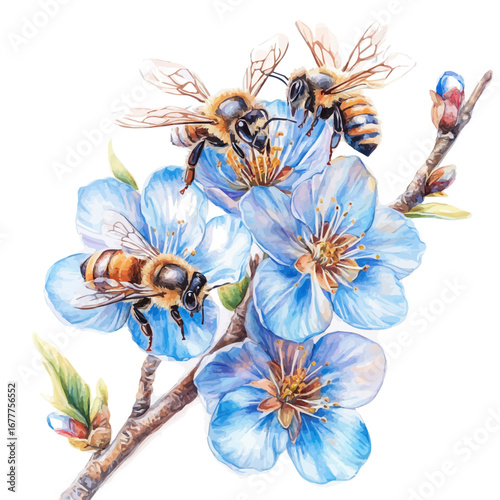 Bees Flying Spring Blossoms, watercolor drawing vector, isolated on a white background.