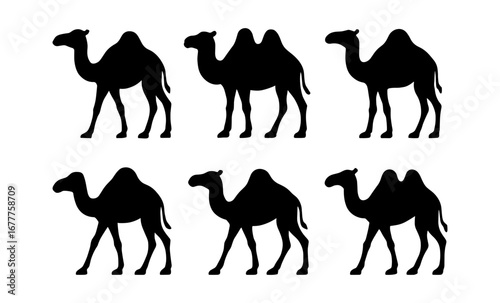 Camel silhouettes collection: set of black silhouette camel profiles