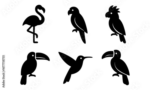 Silhouette set of exotic birds: flamingo, parrot, cockatoo, toucan, hummingbird