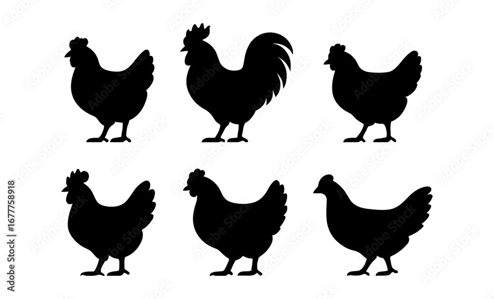 Fototapeta premium Silhouette collection of roosters and hens in various poses on white background