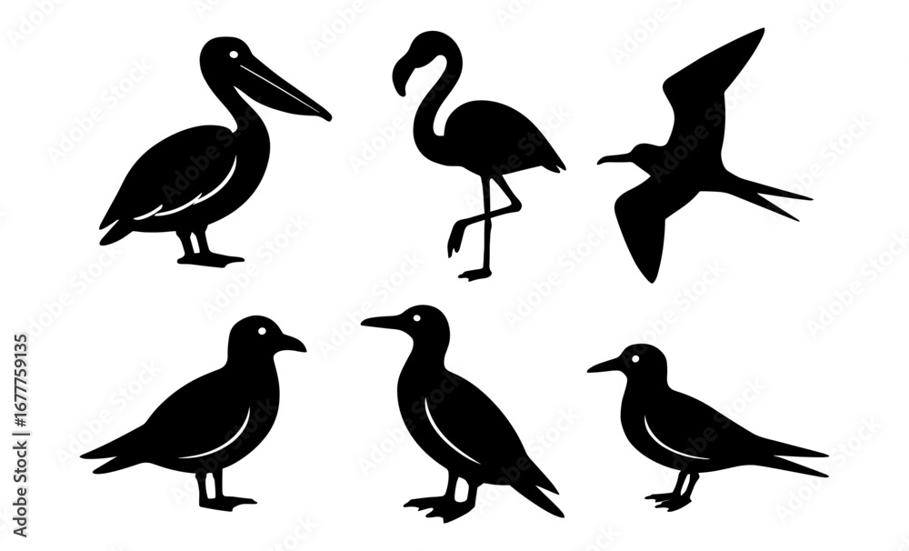 Obraz premium Silhouette collection of various birds in black and white design