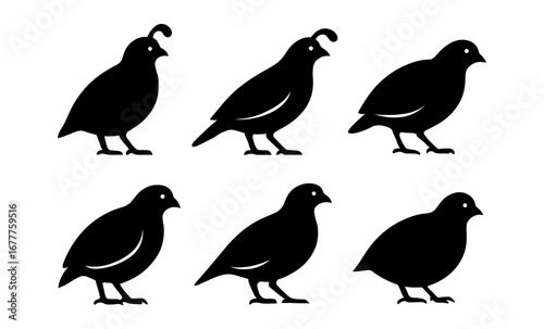 Silhouette collection of six quails in various poses