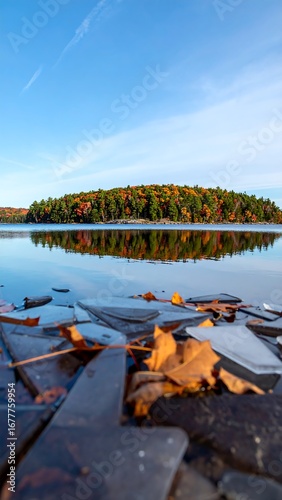 Autumn lake scene with fallen leaves