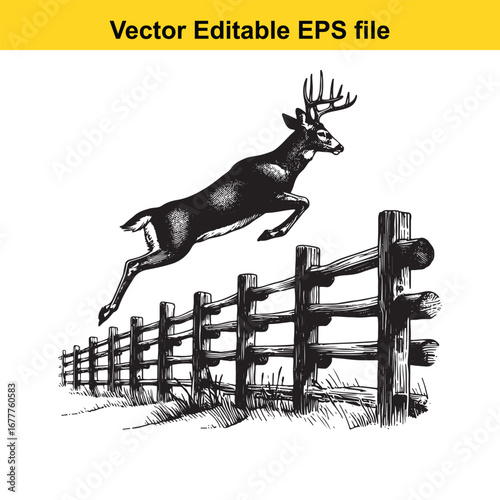 A whitetail deer jumping over a wooden fence, isolated on white background