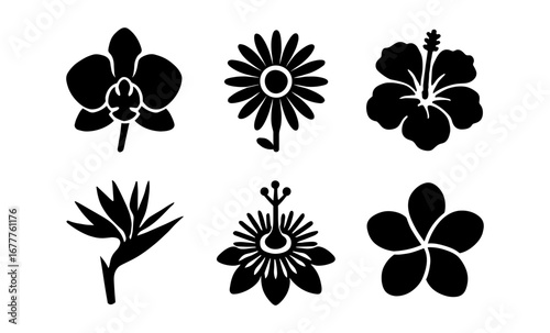 Floral silhouettes collection: tropical blooms and exotic petals