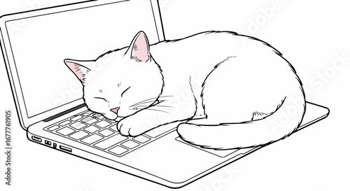Sleeping cat on laptop computer portrays cozy digital life. Laptop computer becomes bed for this sleeping cat, showcasing its preference for modern technology as a napping spot.