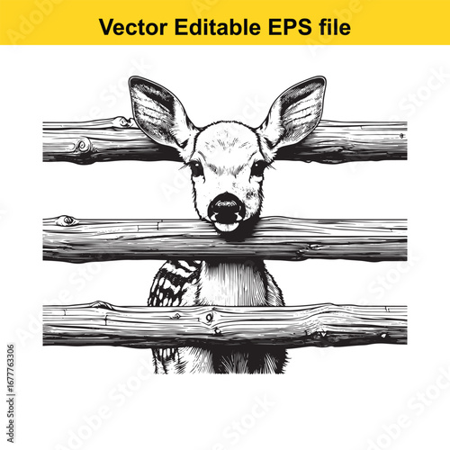 A whitetail close up sketch of a deer head peeking through wooden fence, isolated on white background