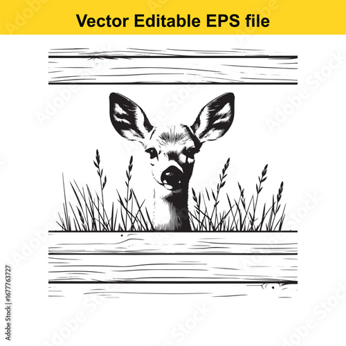 A whitetail black and white sketch of a deer head peeking through grass between wooden planks