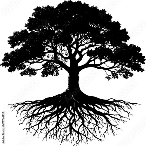 tree silhouette vector